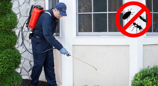 Muğla Kene İlaçlama böcek ilaçlama ve haşere kontrolü — ilaclama-tr.com